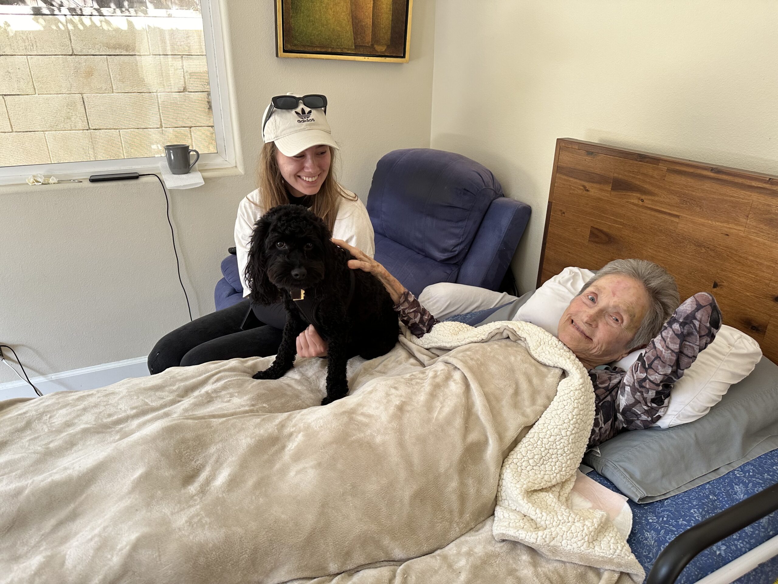 The Benefits of Pet Visits and Dog Therapy for Seniors: Enhancing Well-Being and Happiness